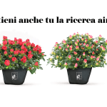 Torna l’azalea della ricerca airc