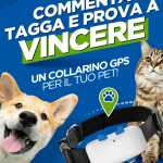 Vinci un Collarino GPS per il tuo Cane o Gatto con Hill’s Pet Nutrition