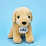 Concorso Puppy Scottex 2025: vinci peluche e un viaggio in Lapponia da sogno! ❄️🐶