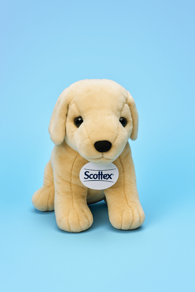 Concorso Puppy Scottex 2025: vinci peluche e un viaggio in Lapponia da sogno! ❄️🐶